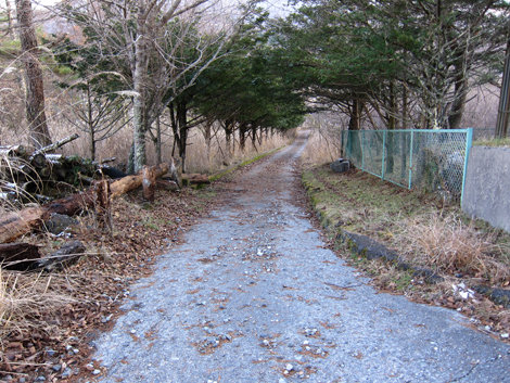 20191129hike (613)